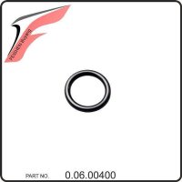 (48) - O-Ring für Verschlussschraube - Buyang FA-D300 EVO
