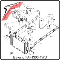 (15) - Kühlwasserschlauch - Buyang FA-H300 EVO