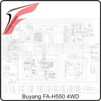 INFO Stromlaufplan - Buyang FA-N500