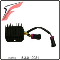 (12) - Lichtmaschinenregler - Buyang FA-G450 Buggy