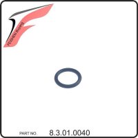 (15) - O-Ring - Buyang FA-H300 EVO