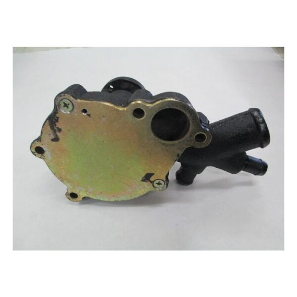 Wasserpump