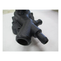 Wasserpump