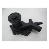 Wasserpump