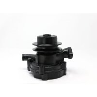 Wasserpump