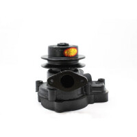Wasserpump