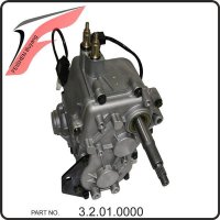 (1) - Schaltgetriebe (2x4) - Buyang FA-D300 EVO