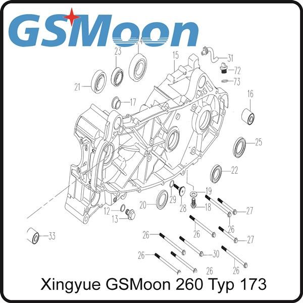 (18) - Ölablaßschraube Getriebeöl M12x1,25x25 - (TYP.170MM) Xingyue GSMoon 260
