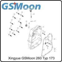 44. GASKET RIGHT CRANKCASE COVER 170MM GSMoon 260