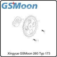 (1) - Ölpumpe komplett - (TYP.170MM) Xingyue GSMoon 260