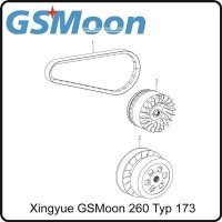 (5) - Variator Riemenscheibe außen (Lüfterrad) - (TYP.170MM) Xingyue GSMoon 260