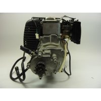 (3) - Motor komplett (142FD) Kinderbuggy 50cc