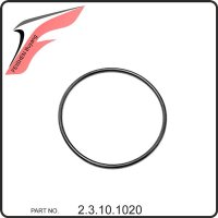 (21) - O-Ring 45x1,8 - 276cc (TYP.173MM) Buyang 300