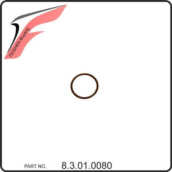 (16) - O-Ring Ölablaßschraube - Feishen V550 (Typ. 2V73)