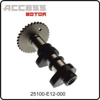 (1) - Nockenwelle Einlass - Access TE 450 Motor - Access